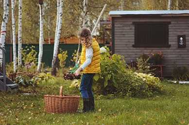 child girl playing little gardener in autumn and picking leaves