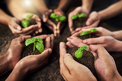 Cropped shot of a group of people holding plants growing out of soil