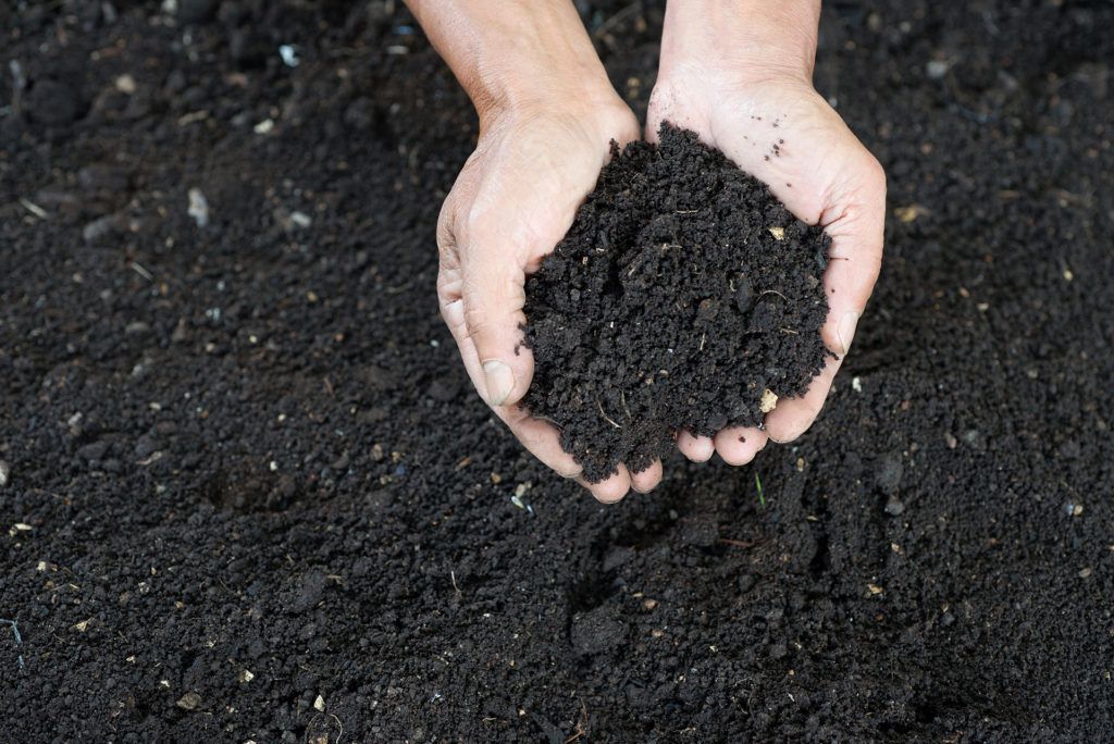 cupped farmers hand filled with black organic soil