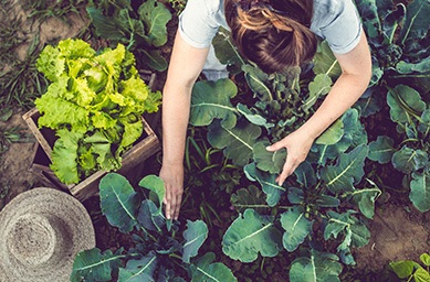 Featured image of post Organic Gardening At Home - You can get a home testing kit, or better, send a sample to your local agricultural extension office.