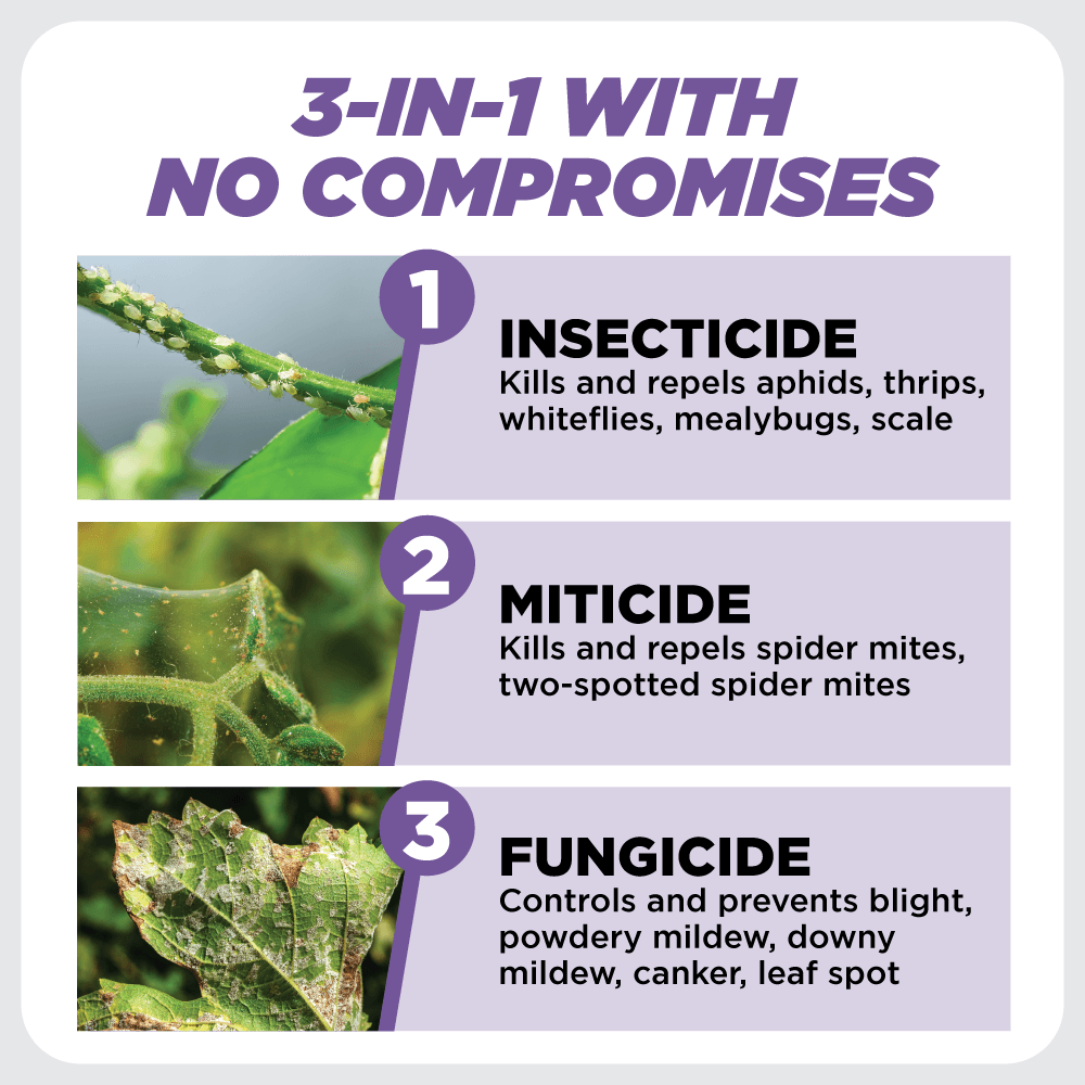3-In-1 Plant Spray Insecticide, Miticide and Fungicide 1 Qt. Concentrate