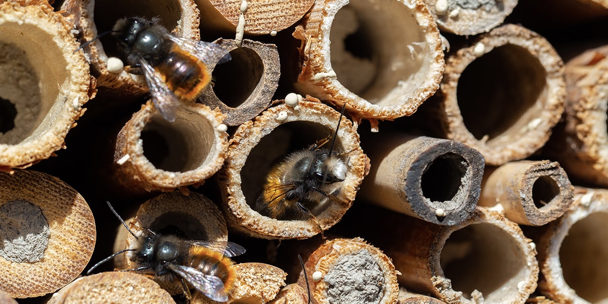 Chemical plant from cardboard tubes and straws