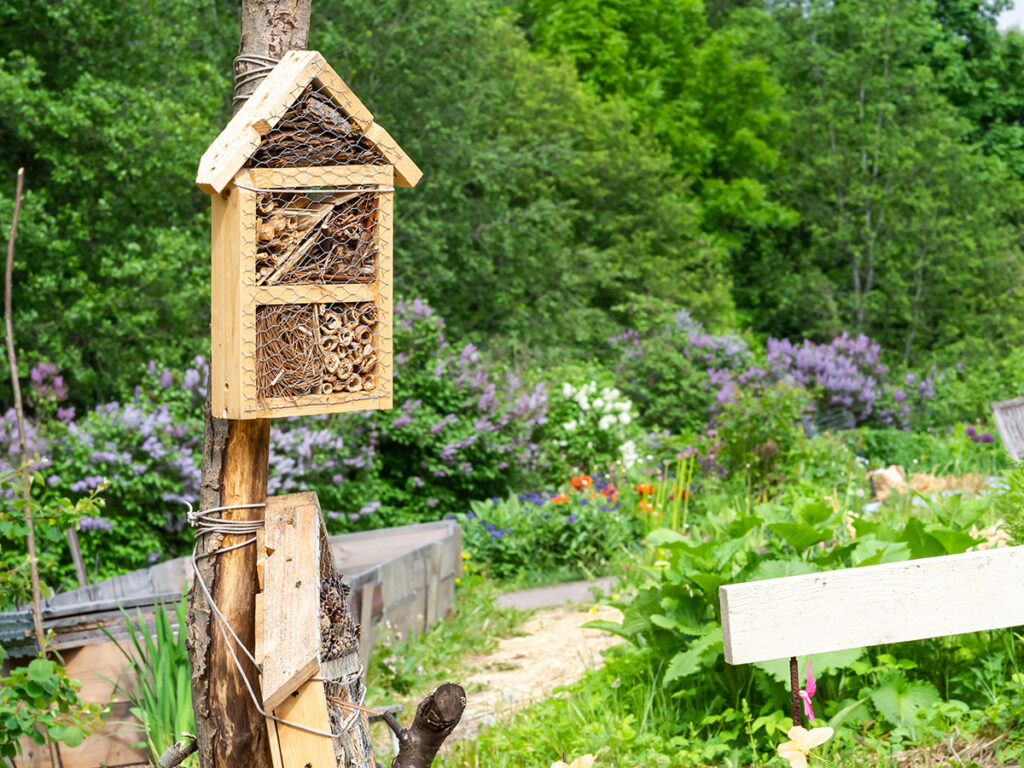 Place a DIY pollinator shelter next to your garden to increase the pollination of your vegetables, herbs, berries, and ornamental plants.