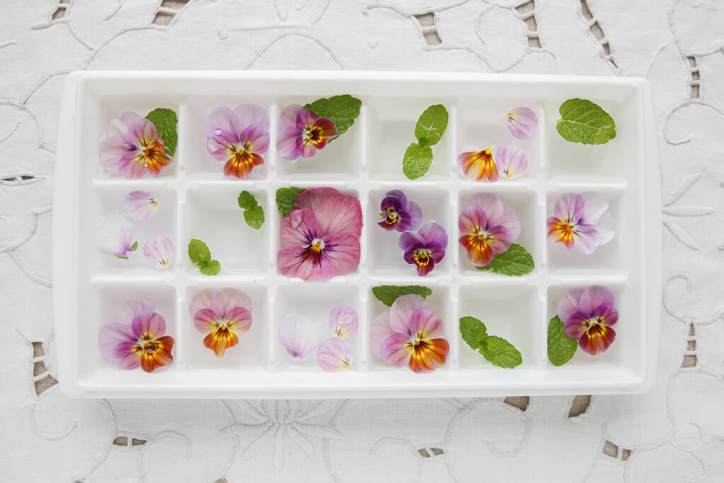 An ice cube tray violas or pansies and mint leaves.