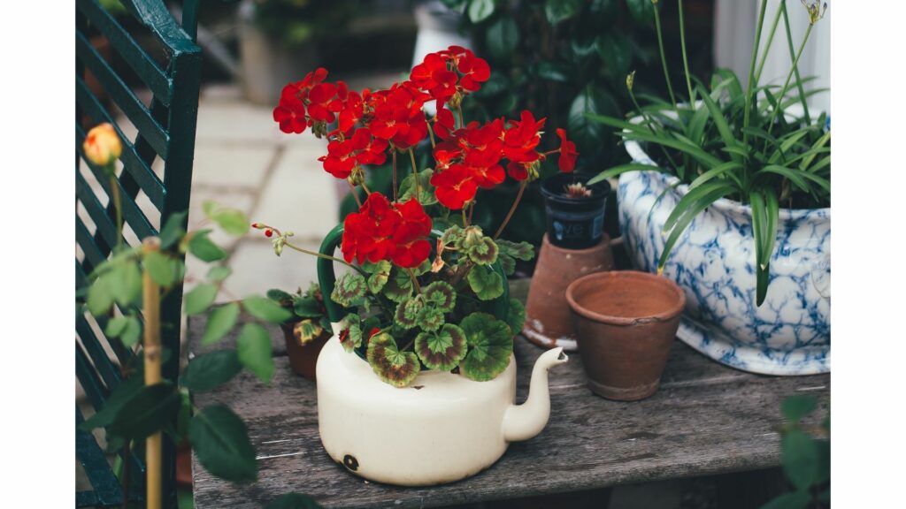 recycled teapot and mug indoor plant displays