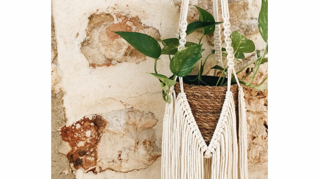 rope wall or macrame indoor plant displays