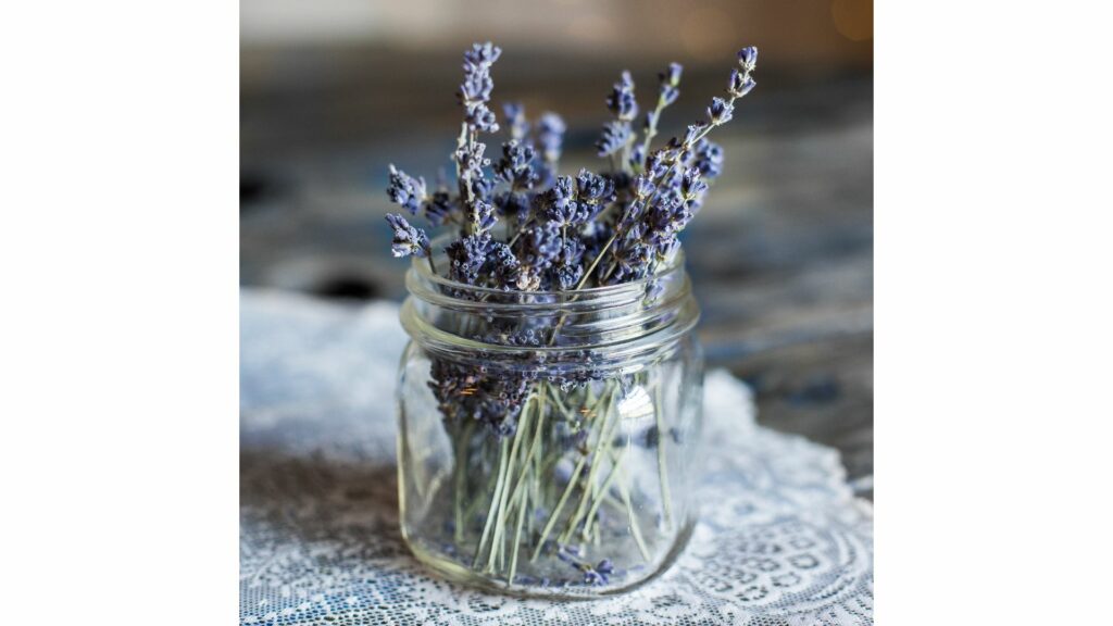 dried floral arrangement indoor plant displays