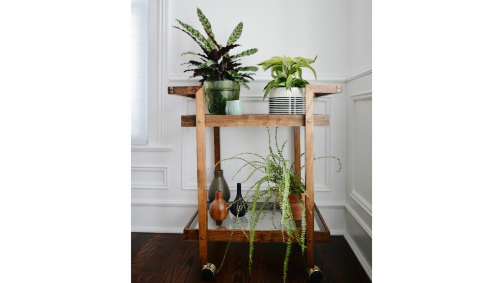 vintage bar cart indoor plant displays