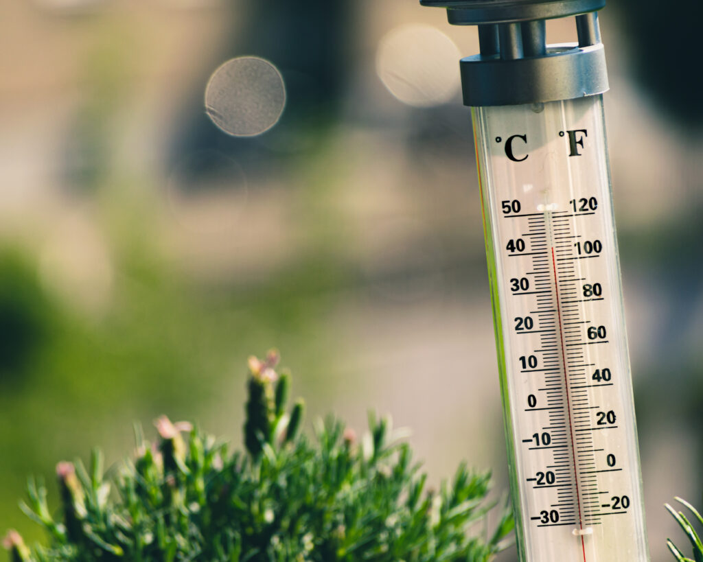 Extreme temperatures can cause plant heat stress.