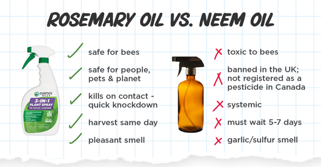 rosemary oil versus neem oil

Rosemary oil is safe for bees; safe for people, pets & planet; kills on contact with a quick knockdown, can be applied the same day as harvest, and has a pleasant smell.

Neem oil is toxic for bees; banned in the UK and not registered as a pesticide in Canada; is a systemic formula; can't be applied 5-7 days prior to harvest; and has a garlic or sulfur smell that's unpleasant. 